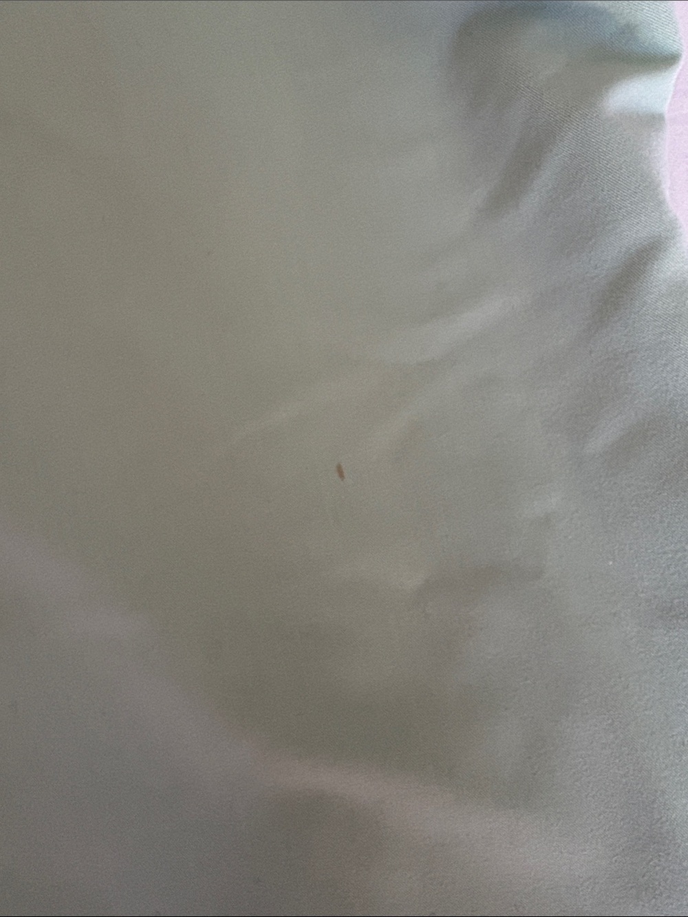 Garde Malade Mandarin Style Scrub Top - Picture 3 of 3